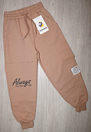 Спортивні штани 2232-БЖ