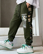 Спортивные штаны 0750-5 Спортивные штаны 0750-5