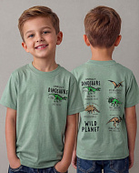 Футболки 3921-ОЛ Футболки 3921-ОЛ