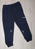 Спортивні штани 2513-ТСН