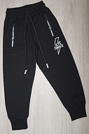 Спортивні штани 2504-ЧЕ